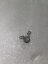 GENUINE DELL LATITUDE 5400 LATITUDE 5402 PLASTIC POWER BUTTON 1KJYN 01KJYN - Honeybee-Technologies